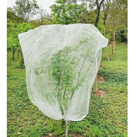 Rete Per Alberi Da Frutto 1,8 M X 1,8 M, Rete Anti-insetti Per Piante, Rete Sottile Anti-insetto Con Corde Di Scontro, Rete Anti-uccello Per La Protezione Della Frutta, Albero 1 Rete Per Alberi Da Frutto 1,8 M X 1,8 M, Rete Anti-insetti Per Piante, Rete Sottile Anti-insetto Con Corde Di Scontro, Rete Anti-uccello Per La Protezione Della Frutta, Albero