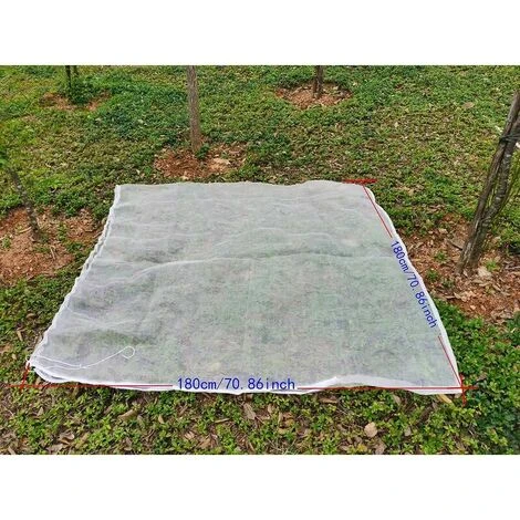 Rete Per Alberi Da Frutto 1,8 M X 1,8 M, Rete Anti-insetti Per Piante, Rete Sottile Anti-insetto Con Corde Di Scontro, Rete Anti-uccello Per La Protezione Della Frutta, Albero 4 Rete Per Alberi Da Frutto 1,8 M X 1,8 M, Rete Anti-insetti Per Piante, Rete Sottile Anti-insetto Con Corde Di Scontro, Rete Anti-uccello Per La Protezione Della Frutta, Albero - immagine 4