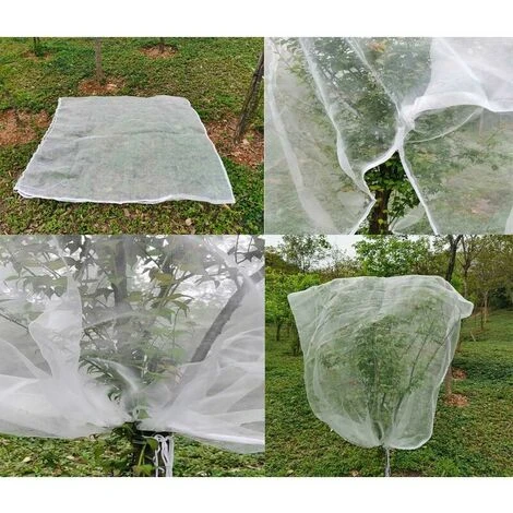 Rete Per Alberi Da Frutto 1,8 M X 1,8 M, Rete Anti-insetti Per Piante, Rete Sottile Anti-insetto Con Corde Di Scontro, Rete Anti-uccello Per La Protezione Della Frutta, Albero 5 Rete Per Alberi Da Frutto 1,8 M X 1,8 M, Rete Anti-insetti Per Piante, Rete Sottile Anti-insetto Con Corde Di Scontro, Rete Anti-uccello Per La Protezione Della Frutta, Albero - immagine 5