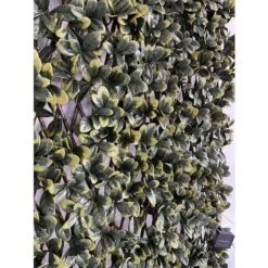 Siepe Artificiale Pitosforo, Grigliato Estensibile UVR 100x200 Cm, 120 Led Ad Energia Solare -Negozio al dettaglio Piante Casa 100275011 5