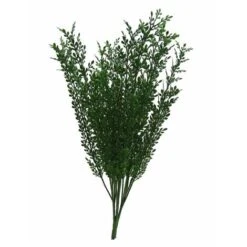 Capelvenere Large, Cm 44, Resistente Ai Raggi U.V.