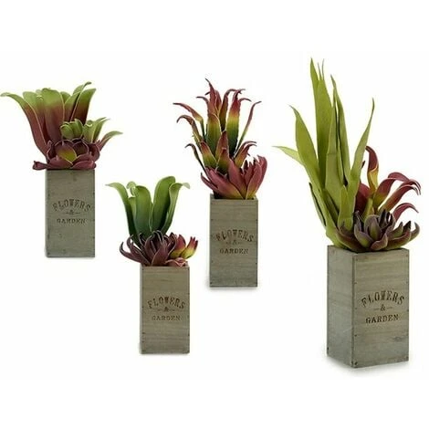 Pianta Decorativa Flowers Garden Marrone Verde 10 X 50 X 10 Cm (4 Unità) 3 Pianta Decorativa Flowers Garden Marrone Verde 10 X 50 X 10 Cm (4 Unità) - immagine 3
