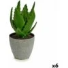 Pianta Decorativa Aloe Vera 14 X 21 X 14 Cm Grigio Verde Plastica (6 Unità)