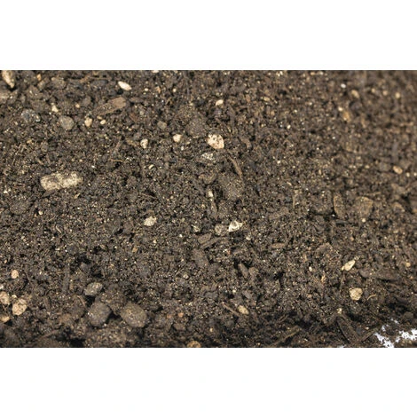 Humus Di Lombrico - Agrilombrico In Secchiello Da 5 Lt. 3 Humus Di Lombrico - Agrilombrico In Secchiello Da 5 Lt. - immagine 3