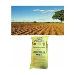 Zolfo Correttivo 93 Giallo Uso Agricolo Verdura Agricoltura Biologico Kg 25 -Negozio al dettaglio Piante Casa 13192522 4