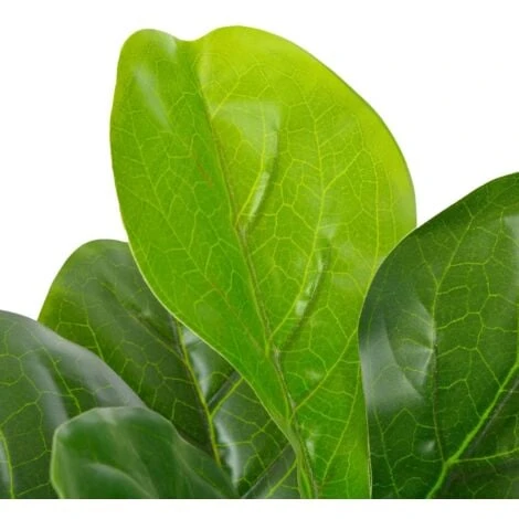 Pianta Artificiale Di Ficus Lyrata Con Vaso Verde 90 Cm VidaXL 2 Pianta Artificiale Di Ficus Lyrata Con Vaso Verde 90 Cm VidaXL - immagine 2