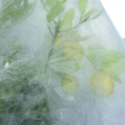 CAPPUCCIO TNT BIANCO GR 17 100X160 -Negozio al dettaglio Piante Casa 15902360 4