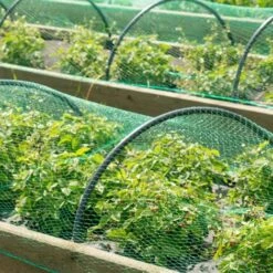 Rete Di Protezione Anti Uccelli In Polietilene 2x10m Maglia 15x15mm Resistente A Raggi UV -Negozio al dettaglio Piante Casa 15906183 3