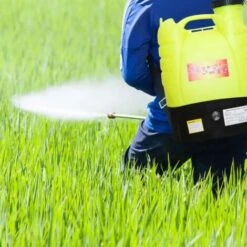 Pompa Irroratrice Diserbante A Spalla A Batteria 16Ah 16Lt Autonomia 6 Ore -Negozio al dettaglio Piante Casa 16168070 3