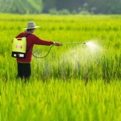 Pompa Irroratrice Diserbante A Spalla A Batteria 16Ah 16Lt Autonomia 6 Ore -Negozio al dettaglio Piante Casa 16168070 5