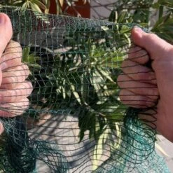 Rete Anti-grandine Anti-uccelli M 2x10 8 Rete Anti-grandine Anti-uccelli M 2x10 -Negozio al dettaglio Piante Casa 17358314 4