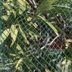 Rete Anti-grandine Anti-uccelli M 2x10 9 Rete Anti-grandine Anti-uccelli M 2x10 -Negozio al dettaglio Piante Casa 17358314 5