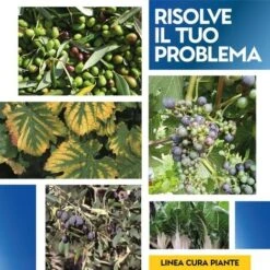 BORO COMPLEX 1 Kg -Negozio al dettaglio Piante Casa 19604342 4