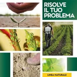 Zeous Zeolite In Polvere X 5 Kg Insetticida Fungicida Acaricida -Negozio al dettaglio Piante Casa 19604432 4