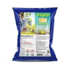 OSSICLORURO DI RAME REALE 50 - 1 Kg