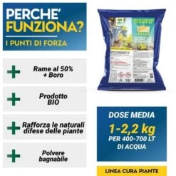 OSSICLORURO DI RAME REALE 50 - 5 Kg -Negozio al dettaglio Piante Casa 19622649 3