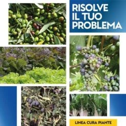OSSICLORURO DI RAME REALE 50 - 5 Kg -Negozio al dettaglio Piante Casa 19622649 4