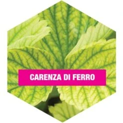 Concime BIO Alt Microcarenze Flortis 100 Gr -Negozio al dettaglio Piante Casa 20106589 3
