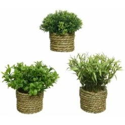 Pianta Verde Artificiale In Vaso 16 Cm -Negozio al dettaglio Piante Casa 21490879 3