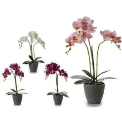 Vaso Grigio (17 X 48 X 34 Cm)