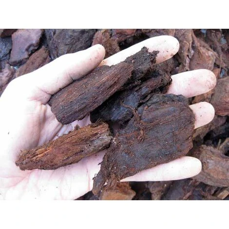 Corteccia Di Pino Rossa Portoghese 20/40 Mm (1 Kg - C.ca 5 Lt) 1 Corteccia Di Pino Rossa Portoghese 20/40 Mm (1 Kg - C.ca 5 Lt)