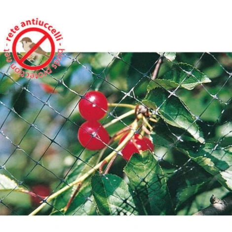 RETE ANTI UCCELLI PROTEZIONE ANTIUCCELLI NYLON PER ORTO PIANTE MT 2X10 (26711) 2 RETE ANTI UCCELLI PROTEZIONE ANTIUCCELLI NYLON PER ORTO PIANTE MT 2X10 (26711) - immagine 2