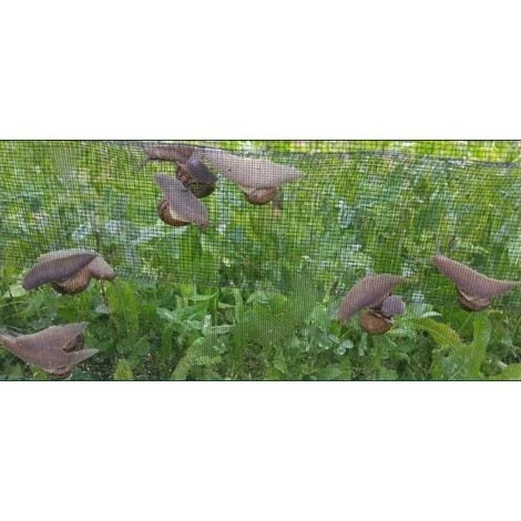 RETE PER ALLEVAMENTO LUMACHE ANTILUMACA ANTI LUMACA MT 1X100 CON 2 BALZI (34184) 2 RETE PER ALLEVAMENTO LUMACHE ANTILUMACA ANTI LUMACA MT 1X100 CON 2 BALZI (34184) - immagine 2