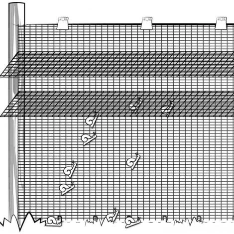 RETE PER ALLEVAMENTO LUMACHE ANTILUMACA ANTI LUMACA MT 1X100 CON 2 BALZI (34184) 3 RETE PER ALLEVAMENTO LUMACHE ANTILUMACA ANTI LUMACA MT 1X100 CON 2 BALZI (34184) - immagine 3