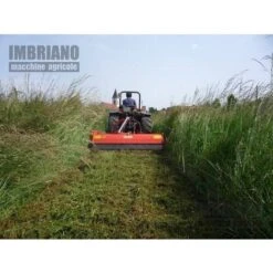 Trincia Maschio Brava 160 -Negozio al dettaglio Piante Casa 28113267 3