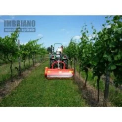 Trincia Maschio Brava 180 -Negozio al dettaglio Piante Casa 28113395 3