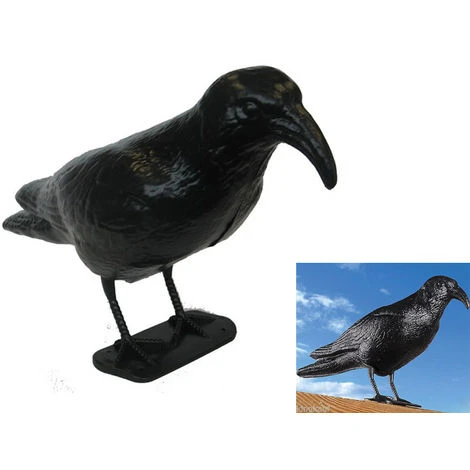 OFFERTA 6 STATUE DISSUASORE SPAVENTA PASSERI PICCIONI COLOMBI A FORMA DI CORVO 2 OFFERTA 6 STATUE DISSUASORE SPAVENTA PASSERI PICCIONI COLOMBI A FORMA DI CORVO - immagine 2