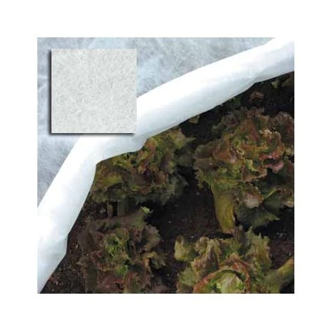 Papillon RETE TELO TESSUTO - 2hX5 MT - NON TESSUTO PER PIANTE ORTAGGI 1 Papillon RETE TELO TESSUTO - 2hX5 MT - NON TESSUTO PER PIANTE ORTAGGI