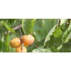RETE ANTIUCCELLI PER PROTEZIONE FRUTTI ORTO PIANTE DA UCCELLI MT 4X250 (37603) -Negozio al dettaglio Piante Casa 29555092 3