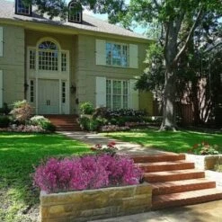 4pcs Gypsophila Artificiale 7 Rami Fiori Artificiali Arbusto Artificiale Cespuglio Fiori Finti Decorazione Viola Per Matrimonio Casa Giardino 8 4pcs Gypsophila Artificiale 7 Rami Fiori Artificiali Arbusto Artificiale Cespuglio Fiori Finti Decorazione Viola Per Matrimonio Casa Giardino -Negozio al dettaglio Piante Casa 29766122 4