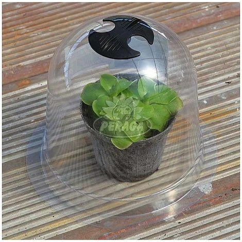 Campana Di Protezione Per Piante E Fiori Diametro Ø Cm 20 X H 17 Verdemax 2 Campana Di Protezione Per Piante E Fiori Diametro Ø Cm 20 X H 17 Verdemax - immagine 2