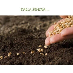 Concime Liquido Con Azoto Fosforo Potassio Fertilizzante Per Giardino E Orto Di Casa -Negozio al dettaglio Piante Casa 30677149 3