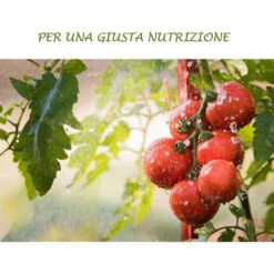 Concime Liquido Con Azoto Fosforo Potassio Fertilizzante Per Giardino E Orto Di Casa -Negozio al dettaglio Piante Casa 30677149 4