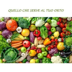 Concime Liquido Con Azoto Fosforo Potassio Fertilizzante Per Giardino E Orto Di Casa -Negozio al dettaglio Piante Casa 30677149 5