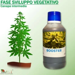 Bio A.L.T Concime,Canapa Coltivazione Indoor, Fertilizzante, Stimola La Crescita E La Maturazione Dei Fiori Della Cannabis Trio -Negozio al dettaglio Piante Casa 30677627 3