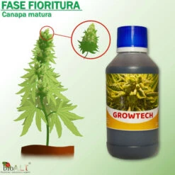 Bio A.L.T Concime,Canapa Coltivazione Indoor, Fertilizzante, Stimola La Crescita E La Maturazione Dei Fiori Della Cannabis Trio -Negozio al dettaglio Piante Casa 30677627 4