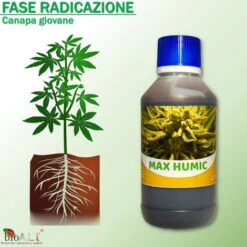 Bio A.L.T Concime,Canapa Coltivazione Indoor, Fertilizzante, Stimola La Crescita E La Maturazione Dei Fiori Della Cannabis Trio -Negozio al dettaglio Piante Casa 30677627 5