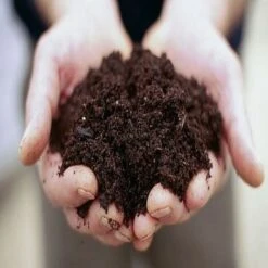 Terriccio Completo Universale Vigorplant 20 Lt -Negozio al dettaglio Piante Casa 30692142 4