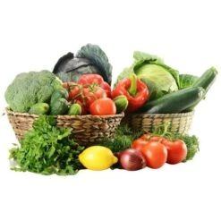 Terriccio Completo Universale Vigorplant 20 Lt -Negozio al dettaglio Piante Casa 30692142 5