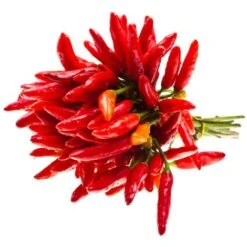 CONCIME NUTRIENTE TOTALE Professionale 20-20-20 + ESTRATTI DI ALGHE MARINE 1 KG -Negozio al dettaglio Piante Casa 30694304 4