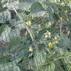 Tenax Rete Antigrandine Tessuta, Defender, 4,00 X 5 M, Verde -Negozio al dettaglio Piante Casa 33403538 3