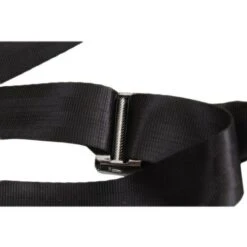 Bambini Che Allacciano La Cintura Di Sicurezza Del Seggiolino Per Auto/nastro Della Superficie Del Fermo -Negozio al dettaglio Piante Casa 34541531 3