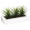 ATMOSPHERA Centrotavola - 3 Aloe Vera - H 17 Cm