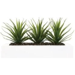 ATMOSPHERA Centrotavola - 3 Aloe Vera - H 17 Cm -Negozio al dettaglio Piante Casa 35488622 3
