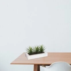 ATMOSPHERA Centrotavola - 3 Aloe Vera - H 17 Cm -Negozio al dettaglio Piante Casa 35488622 5