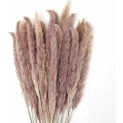 SOEKAVIA 30 Pezzi Erba Di Pampa, Bouquet Di Fiori Secchi Di Pampa Naturale Da 45 Cm Per Vasi, Decorazione Boho Camera Da Letto Soggiorno Casa, Decorazione Da Tavola Fotografia Di Matrimonio